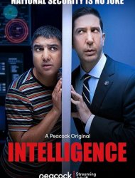 Intelligence Saison 2