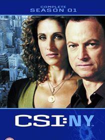 Les Experts : Manhattan saison 1