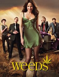 Weeds Saison 1