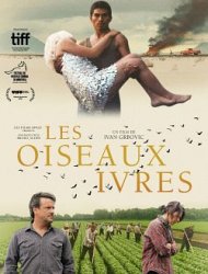 Les Oiseaux Ivres