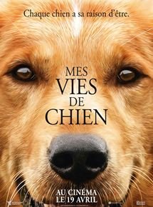 Mes vies de chien